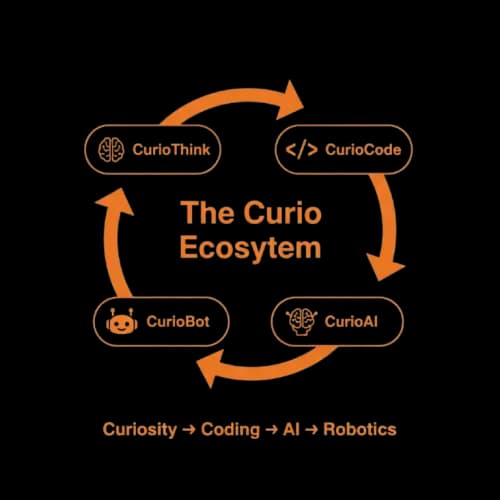 Curio Ecosystem showcasing integrated learning